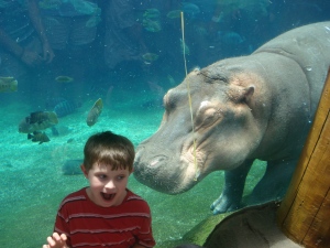 there's a Hippo in my ear!